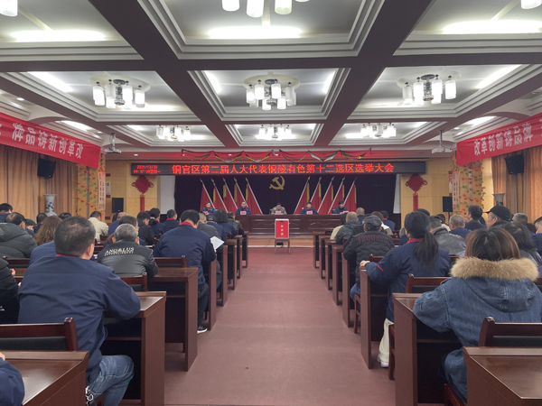 公司完成銅官區(qū)第二屆人大代表選舉工作