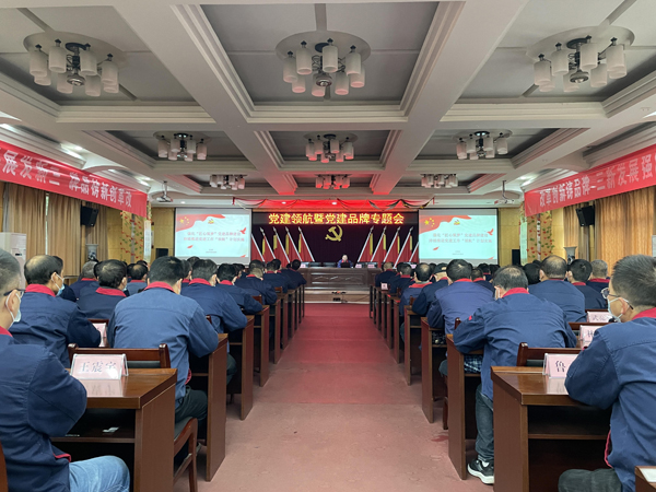 公司召開(kāi)黨員大會(huì) 公司召開(kāi)黨員大會(huì)